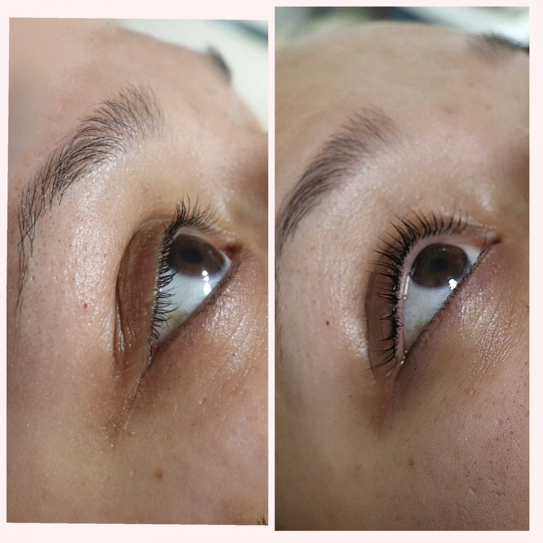 Lash lift + farbanje trepavica + botox - M Studio 0303, Novi Sad Trepavice Lice Trepavice, Novi Sad, Sajmište, Detelinara, Banatić
