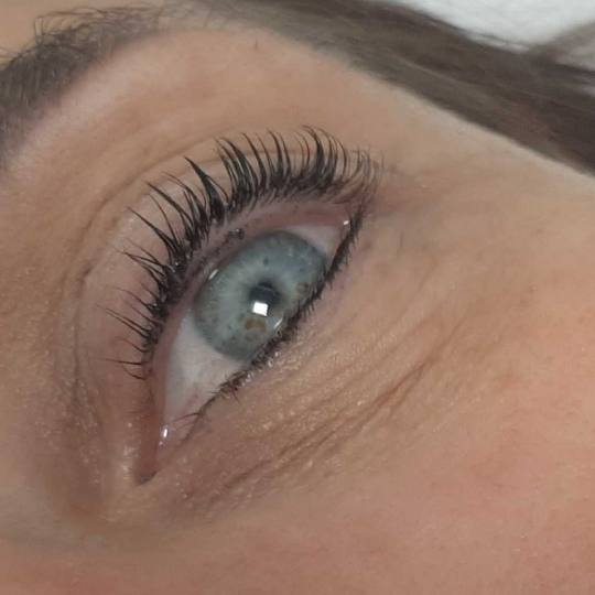 Felicita #beograd Trepavice Lash lift + farbanje trepavica