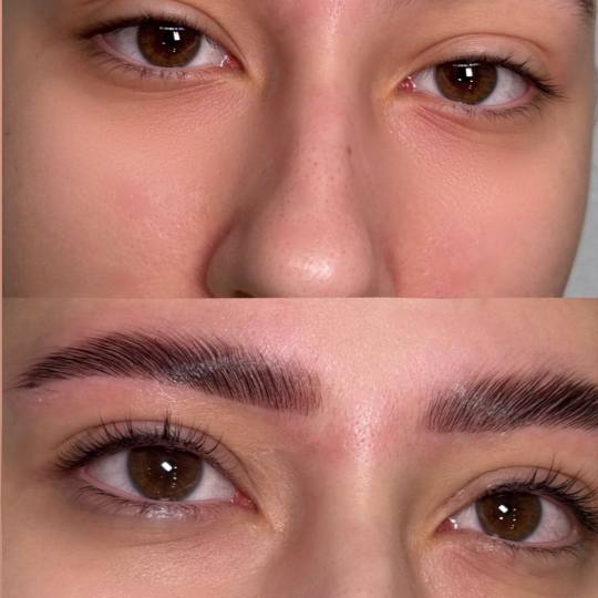 Alexandria Brow&Beauty lounge #beograd Trepavice Brow beauty&care paket