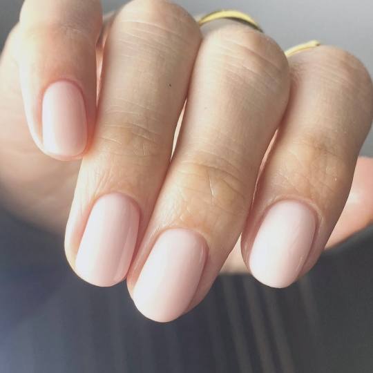 Nikita studio usluga