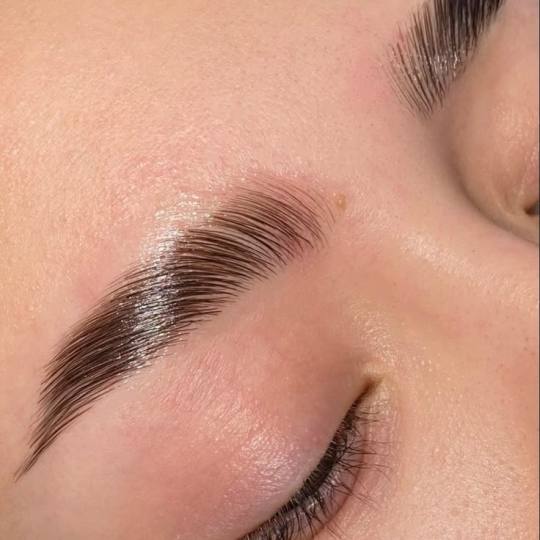 Xenija Beauty Room #beograd Obrve Brow lift + farbanje obrva
