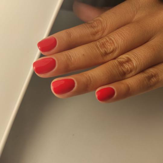 Signorina Vračar #beograd Gel lak Gel lak - ruke
