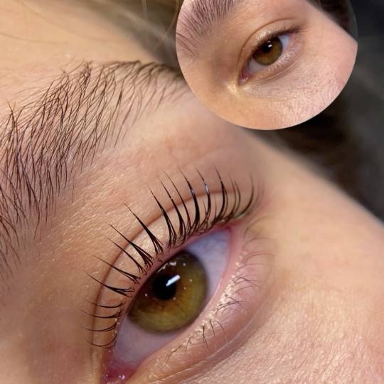 Lion King #beograd Trepavice Lash lift