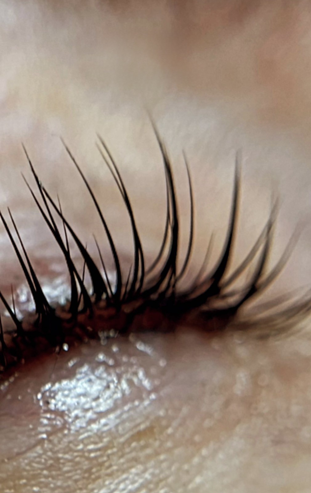 Lash lift - Beauty Nikka, Novi Sad Trepavice Lice Trepavice, Novi Sad, Centar - Stari grad