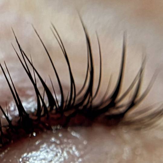 Beauty Nikka #novisad Trepavice Lash lift