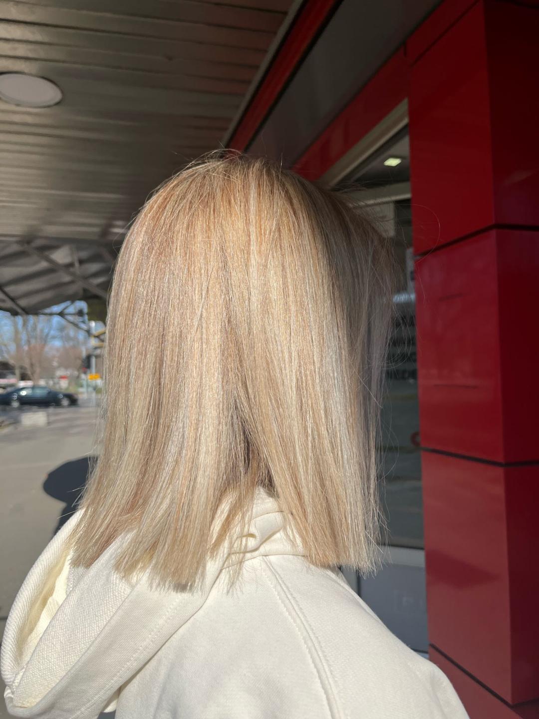 Royal cut - No Limit, Beograd LookBook