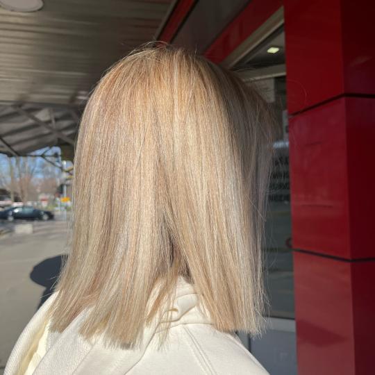 Royal cut - No Limit #beograd