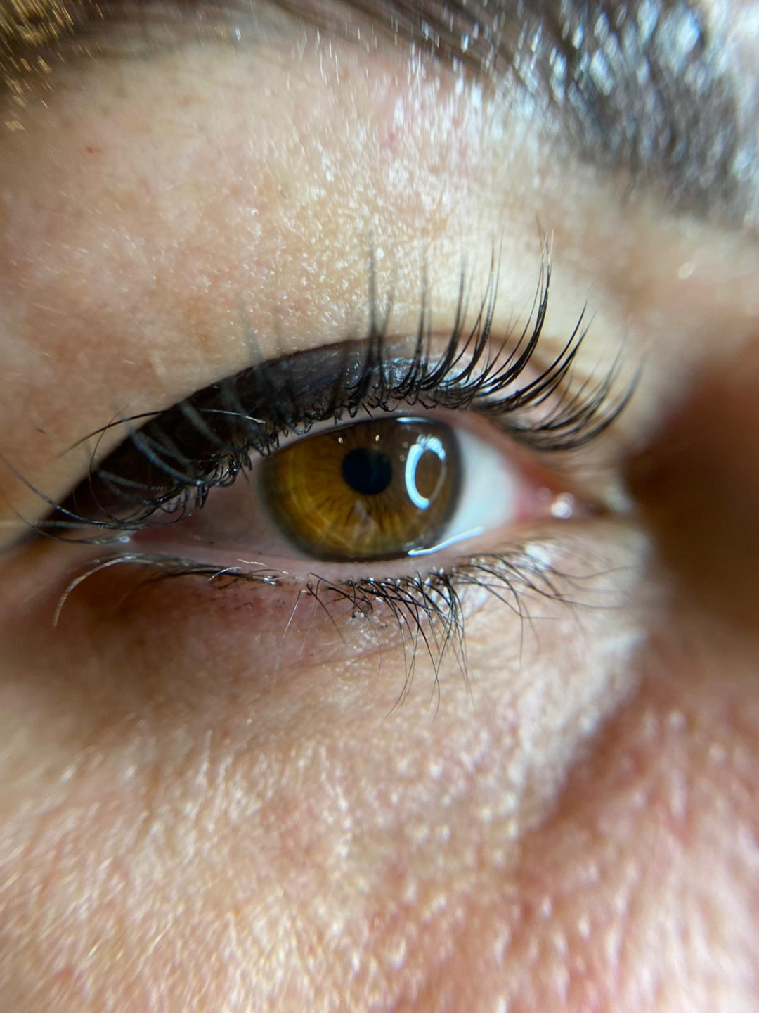 Elite Studio Piccolo #beograd Trepavice Lash lift + botox + farbanje