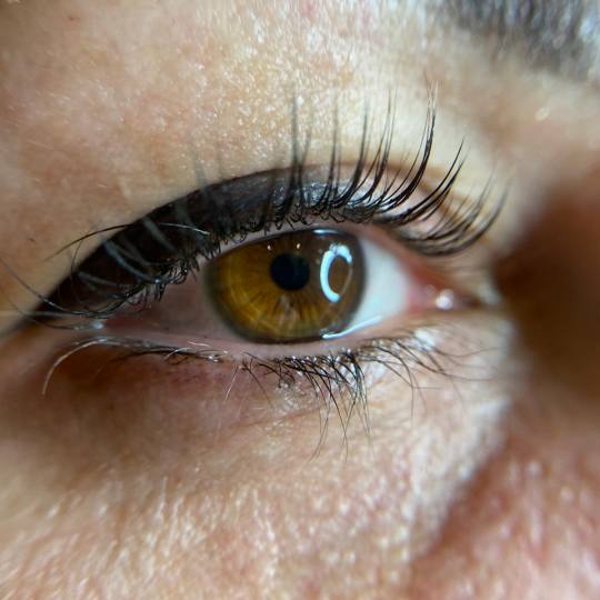 Elite Studio Piccolo #beograd Trepavice Lash lift + botox + farbanje