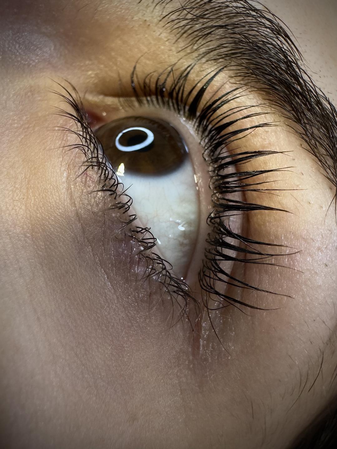 Lion King #beograd Trepavice Lash lift