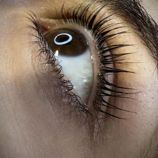 Lion King #beograd Trepavice Lash lift