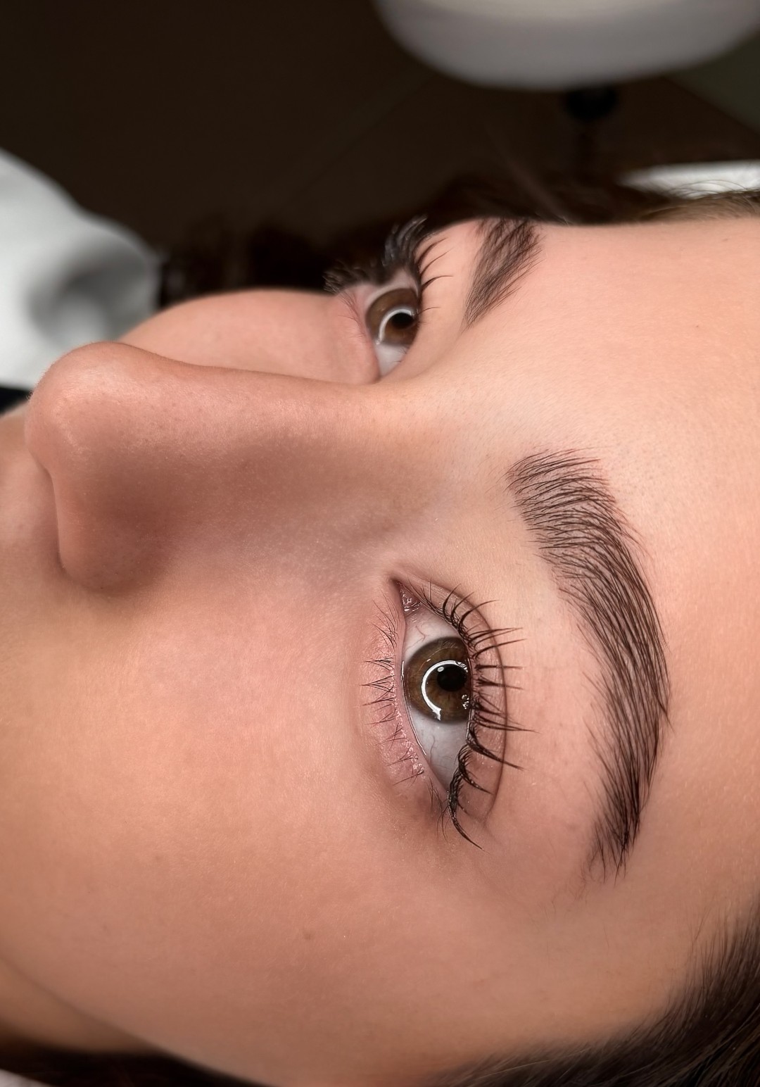 L’Avenue #beograd Trepavice Korejski lash lift sa farbanjem