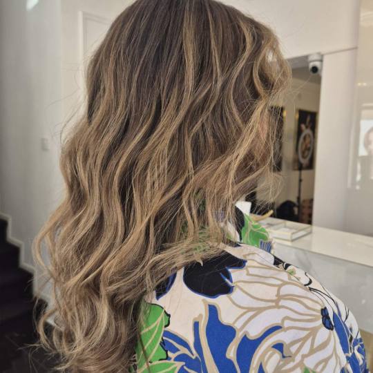 Esthetique Privé #beograd Pramenovi GOLDWELL Pramenovi + preliv + feniranje - duga kosa
