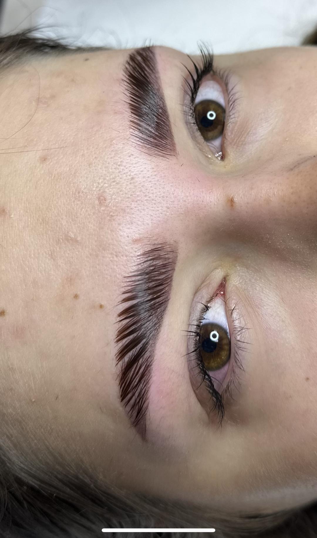 TT beauty atelier #beograd Obrve Brow lift + lash lift + farbanje