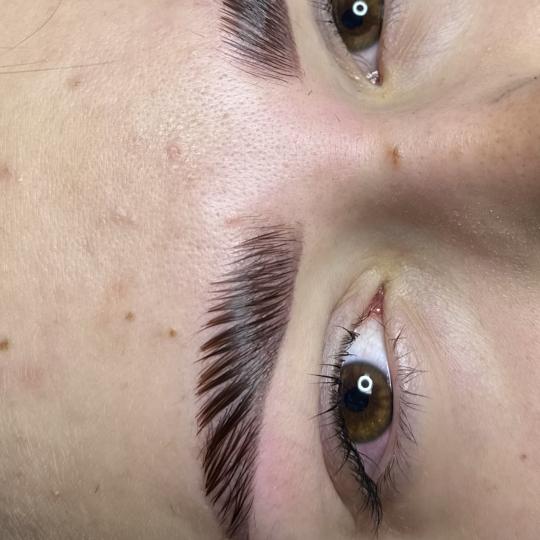 TT beauty atelier #beograd Obrve Brow lift + lash lift + farbanje