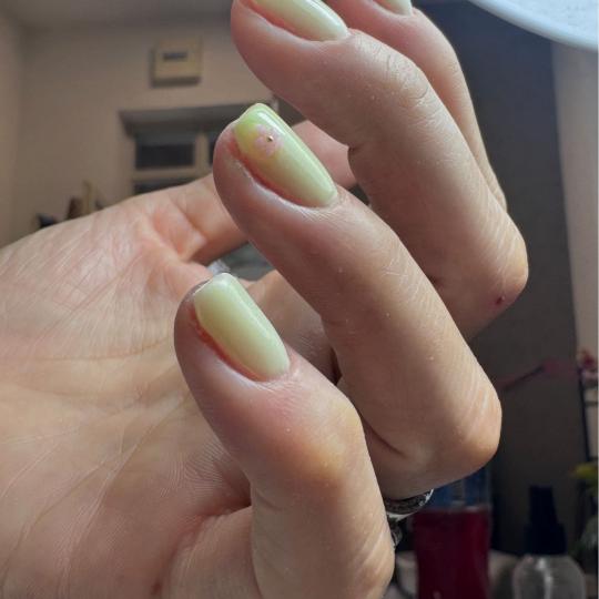 Spicy beauty usluga