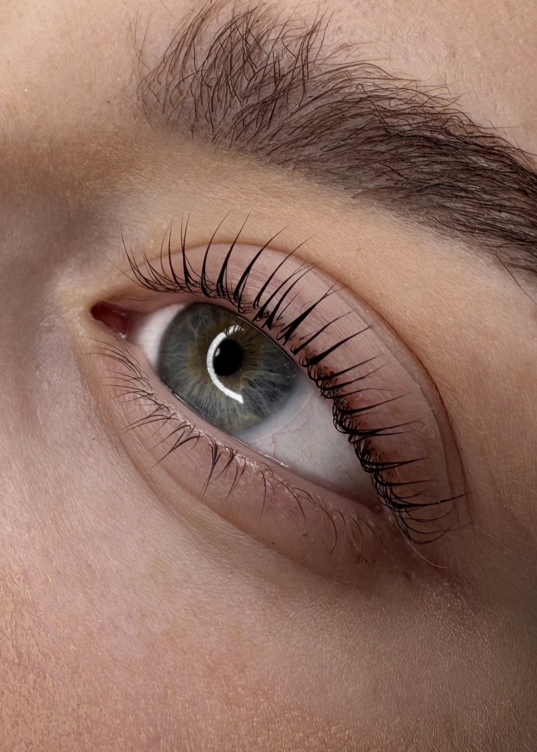 L’Avenue #beograd Trepavice Lash lift - laminacija trepavica