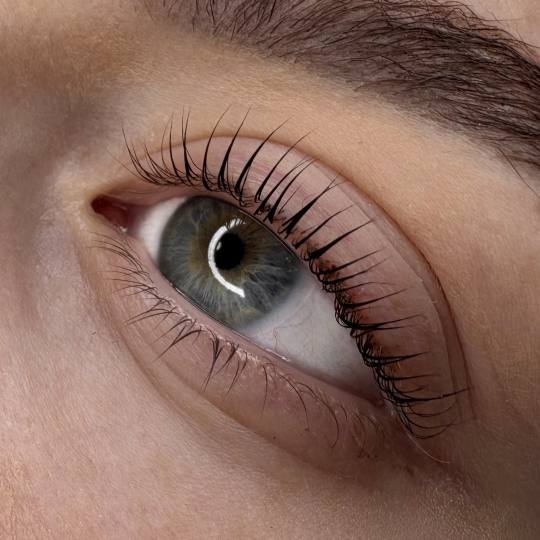 L’Avenue #beograd Trepavice Lash lift - laminacija trepavica