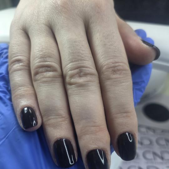 Gospođica Draga usluga