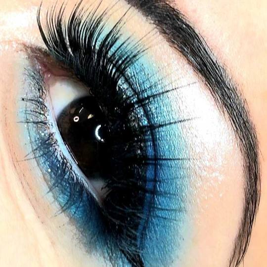 Sensus #beograd Make-up / šminkanje Profesionalno šminkanje + veštačke trepavice
