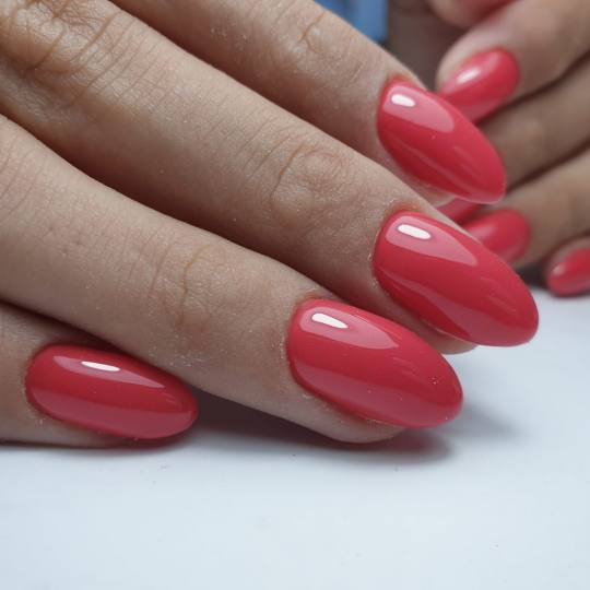 Kalax Studio Lepote #beograd Ojačavanje noktiju Ojačavanje prirodnih noktiju gelom + boja - M duž