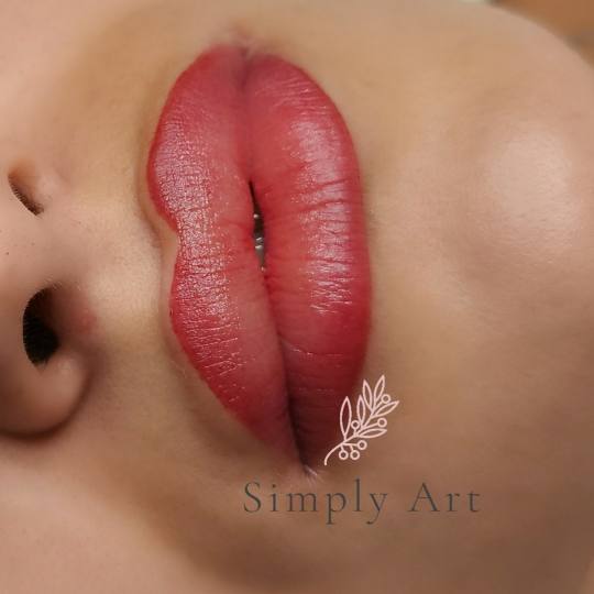SimplyArt #nis Trajna šminka