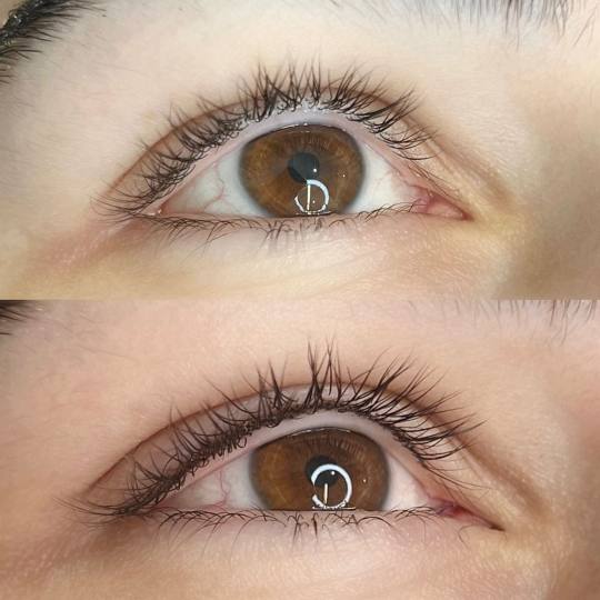 Alexandria Brow&Beauty lounge #beograd Trajna šminka Lash liner - trajna šminka kapaka