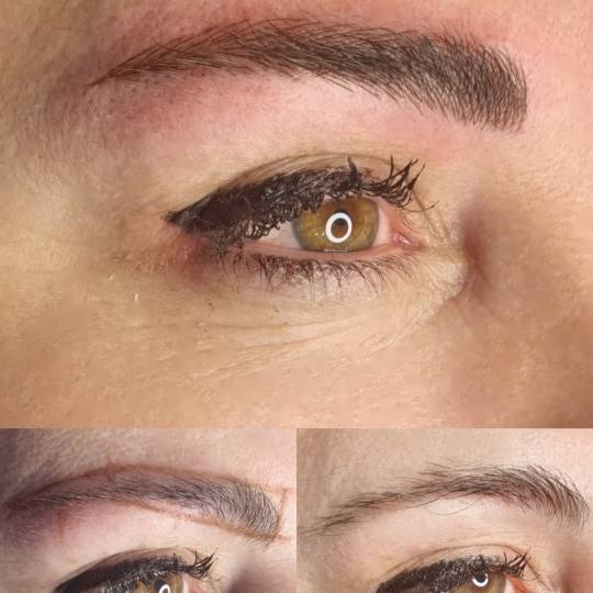 Manja pmu & beauty studio #pancevo Trajna šminka Trajna šminka obrva - phishading Razlika između 