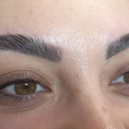Beauty Palace by M #beograd Obrve Brow lift + farbanje