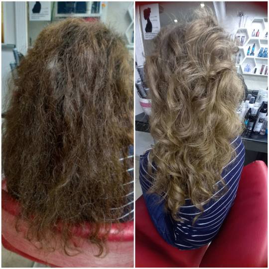 Royal cut - No Limit #beograd