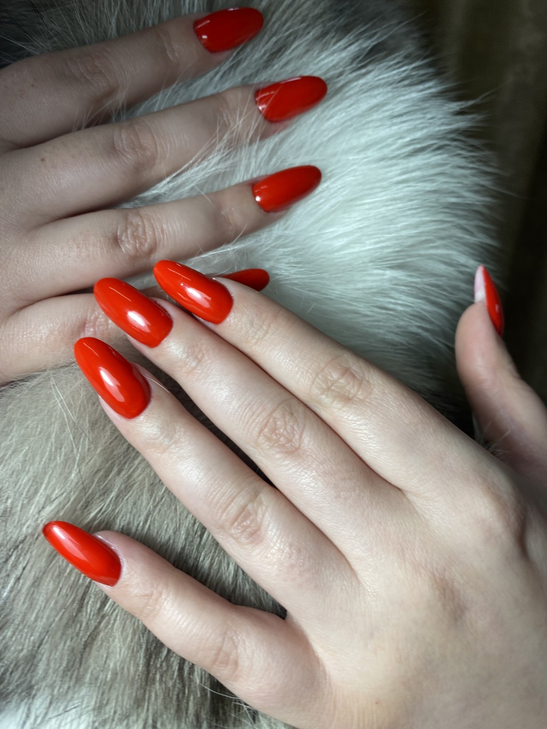 Frančeska beauty studio #novisad