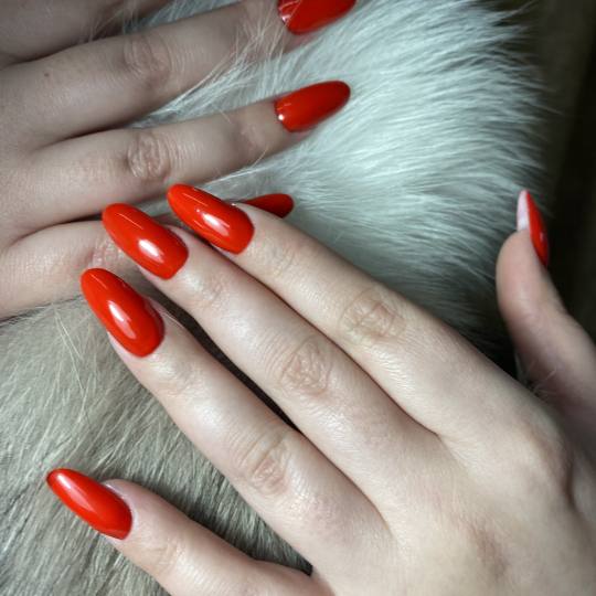 Frančeska beauty studio #novisad