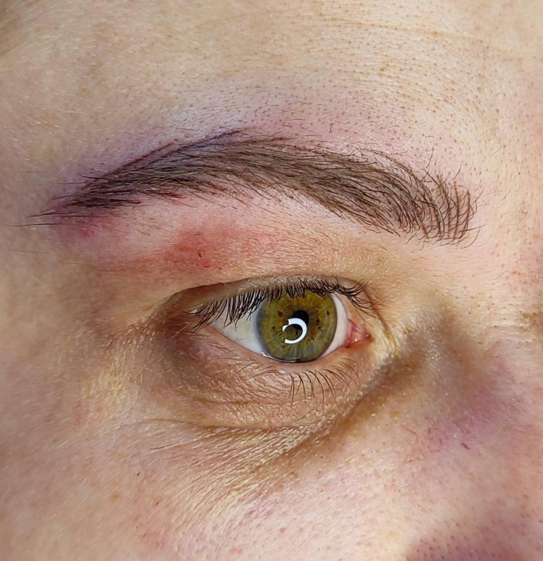 MG Elite, Pančevo LookBook