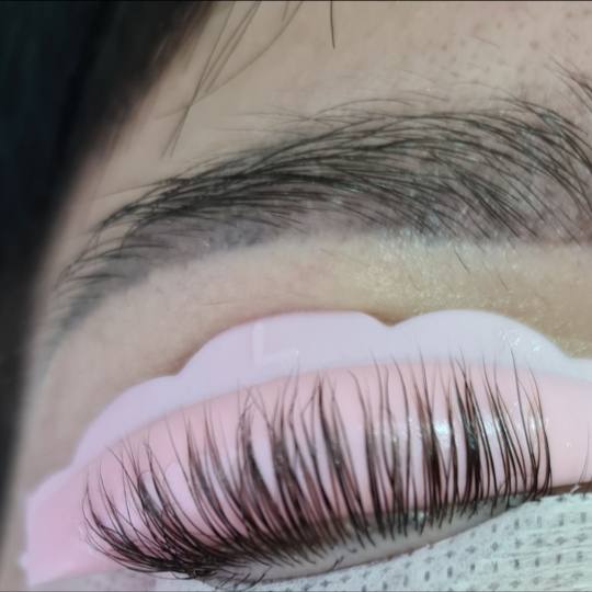 SunBox #beograd Trepavice Lash lift