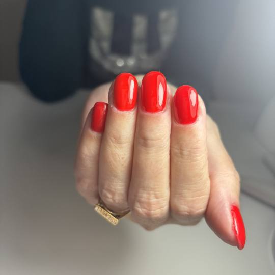 Studio lepote Bellora #novisad