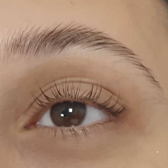 Felicita #beograd Trepavice Lash lift