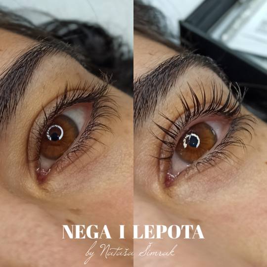 Nega i lepota NS 1 #novisad Trepavice Lash lift