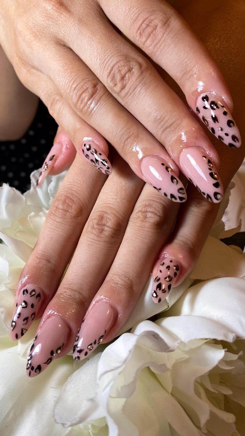 Beauty Rose Concept #beograd