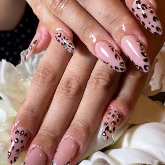 Beauty Rose Concept #beograd