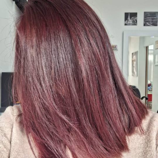 Knez Alfaparf Milano usluga