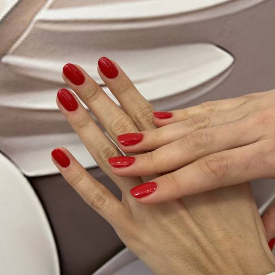 Beauty Studio S #beograd