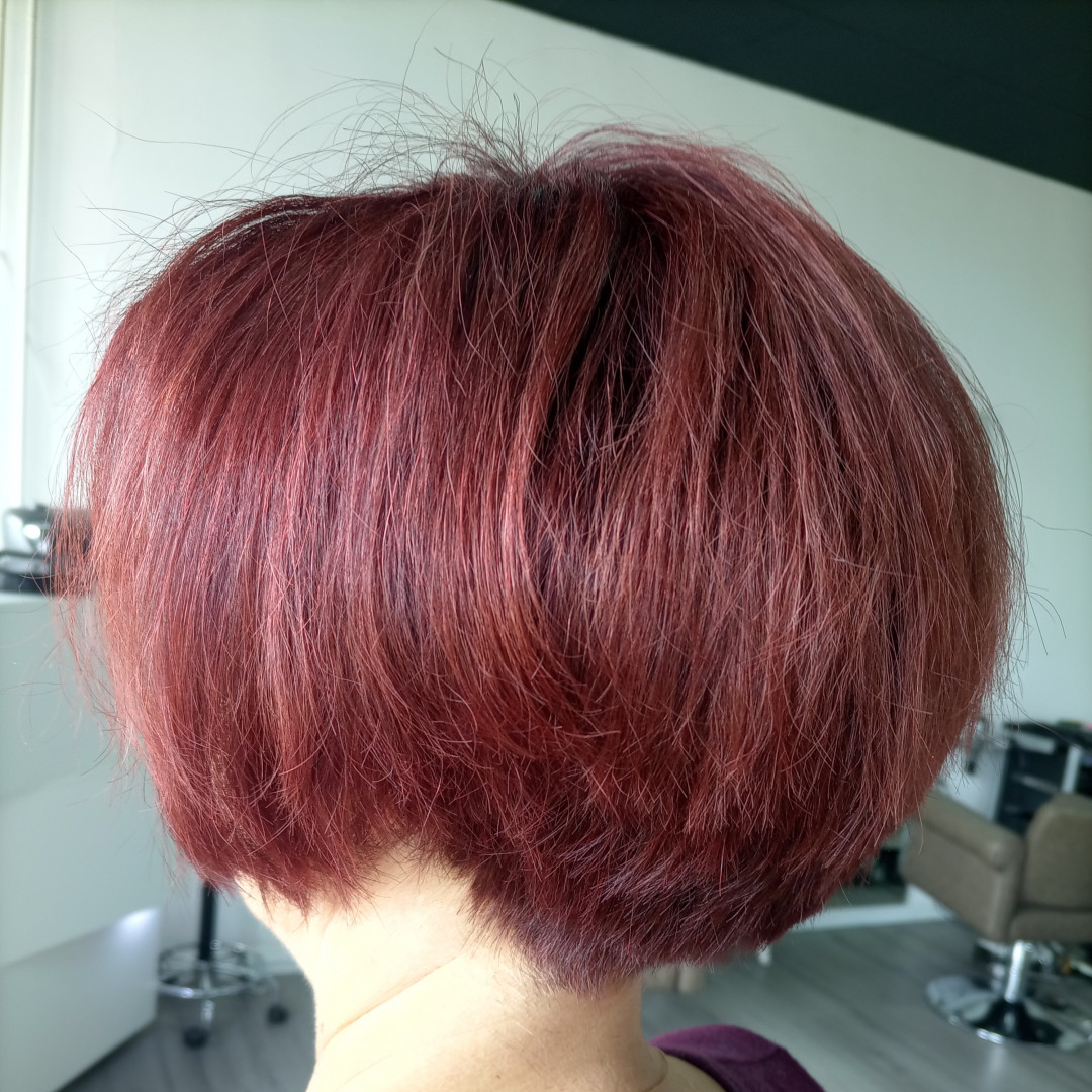 Sv. Mina, Beograd LookBook