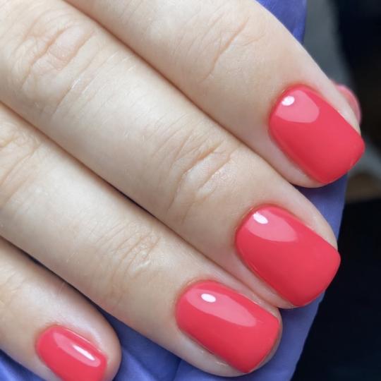 Touch Aesthetic&Medical care #beograd Manikir Manikir + bazno prekrivanje Rad majstora Ekaterine