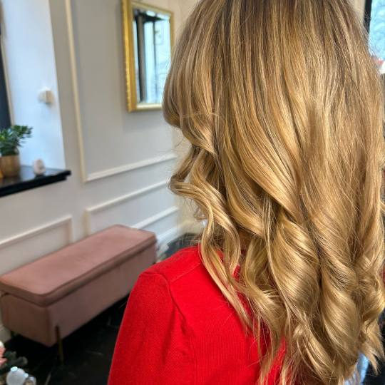 Esthetique Privé #beograd Pramenovi GOLDWELL Pramenovi + preliv + feniranje - duga kosa