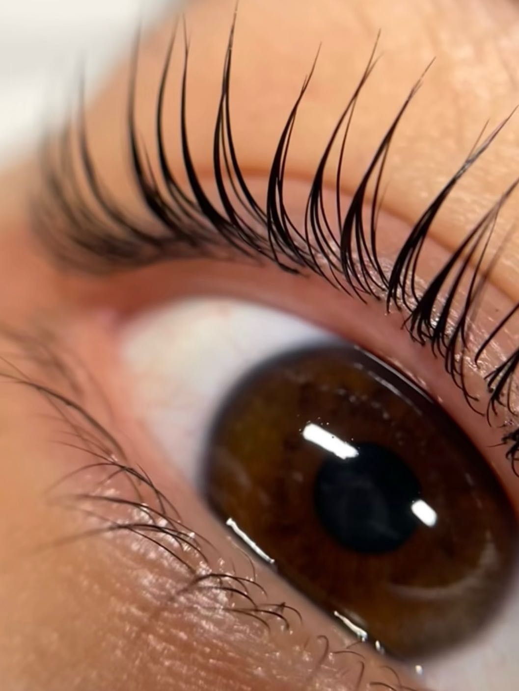 Hermanita beauty studio #beograd Trepavice Lash lift