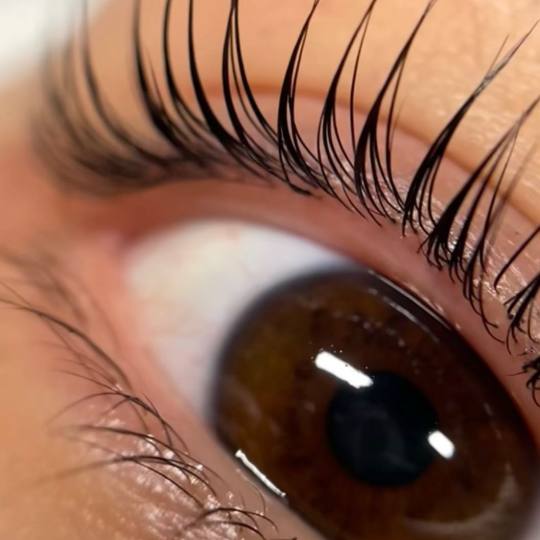Hermanita beauty studio #beograd Trepavice Lash lift