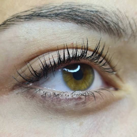 SunBox #beograd Trepavice Lash lift