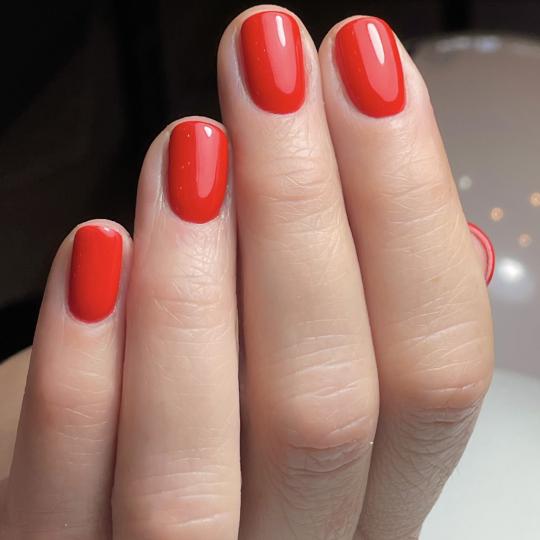 Nails Studio usluga