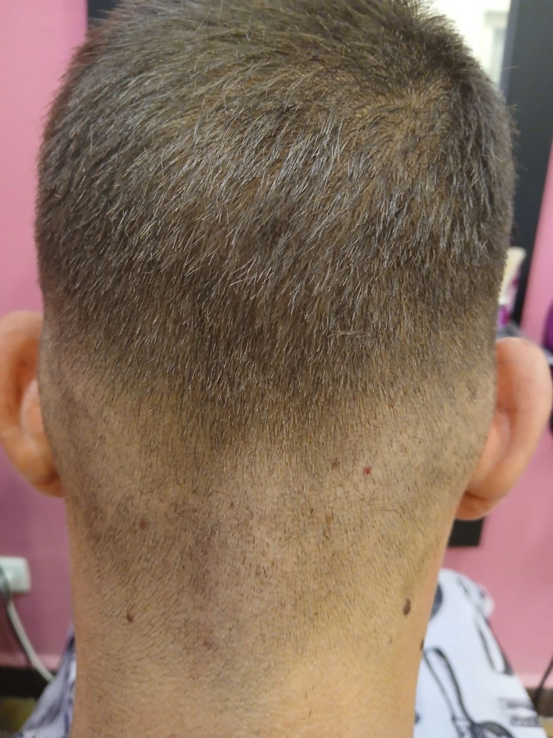 Sv. Mina, Beograd LookBook