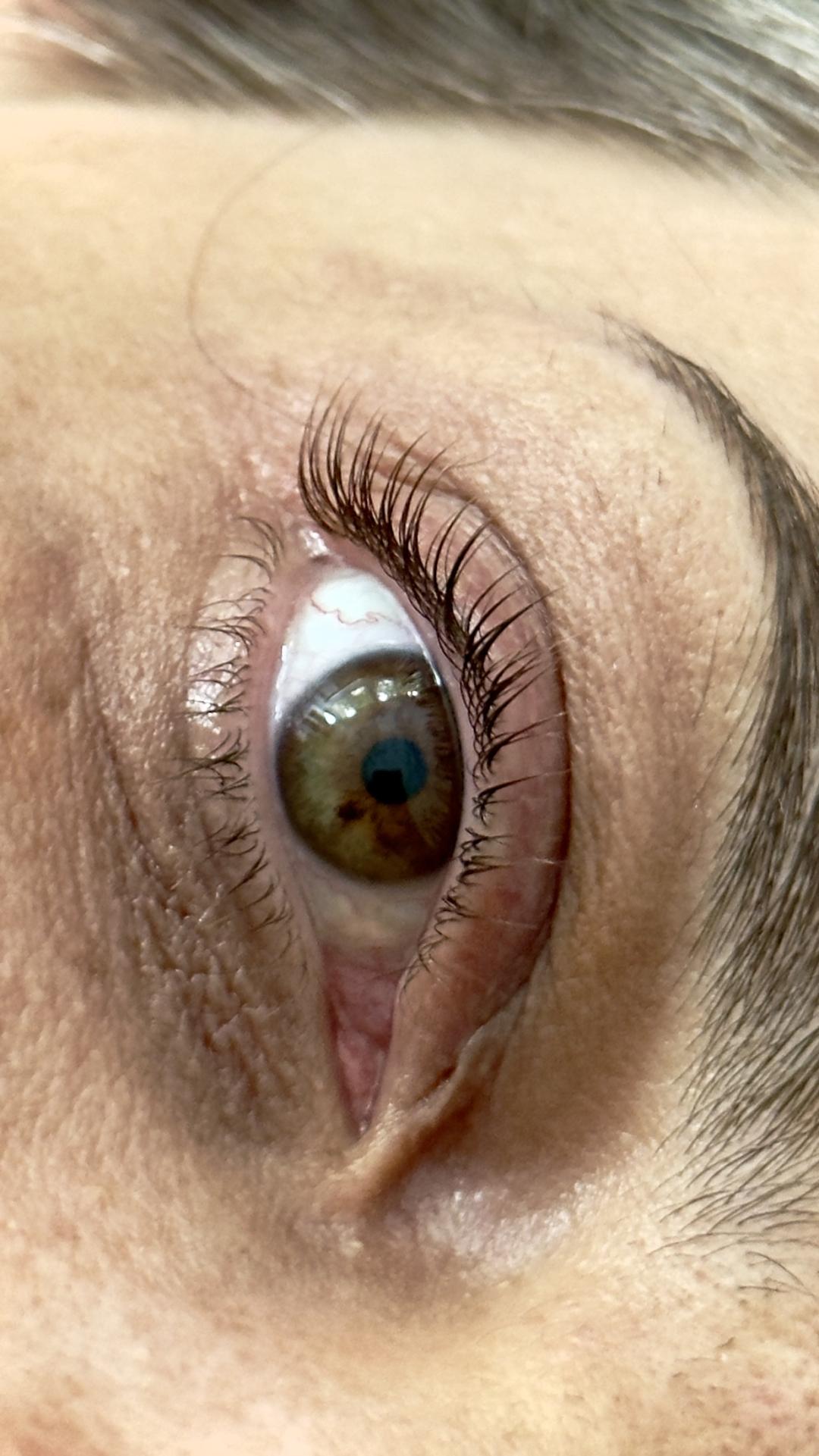 Lash lift - Lola esthetic center, Beograd Trepavice Lice Trepavice, Beograd, Novi Beograd blokovi, Belville, Savski kej